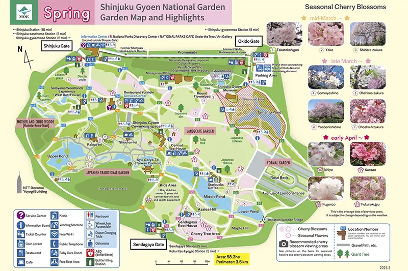 Shinjuku Gyoen Park: 6 Things to Know Before You Go