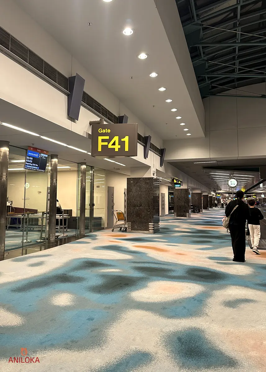 Gate F41 Changi Airport Singapore Terminal 2