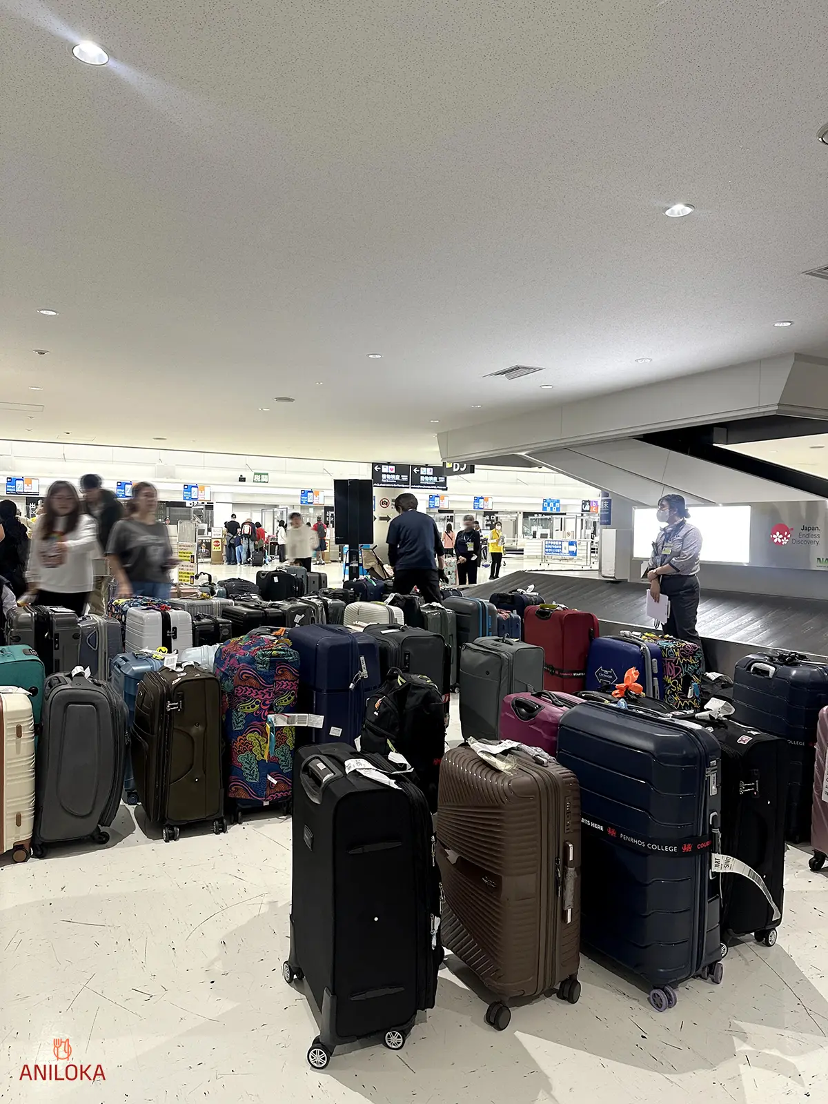 My Luggage Already Lined Up After Narita Immigration I took this photo after clearing Narita immigration at Terminal 1, Tokyo, Japan. After a long immigration queue, I was surprised to find all the luggage already lined up neatly beside the baggage claim conveyor belt.